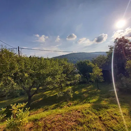 Zielony Otoczak Brenna Exterior foto