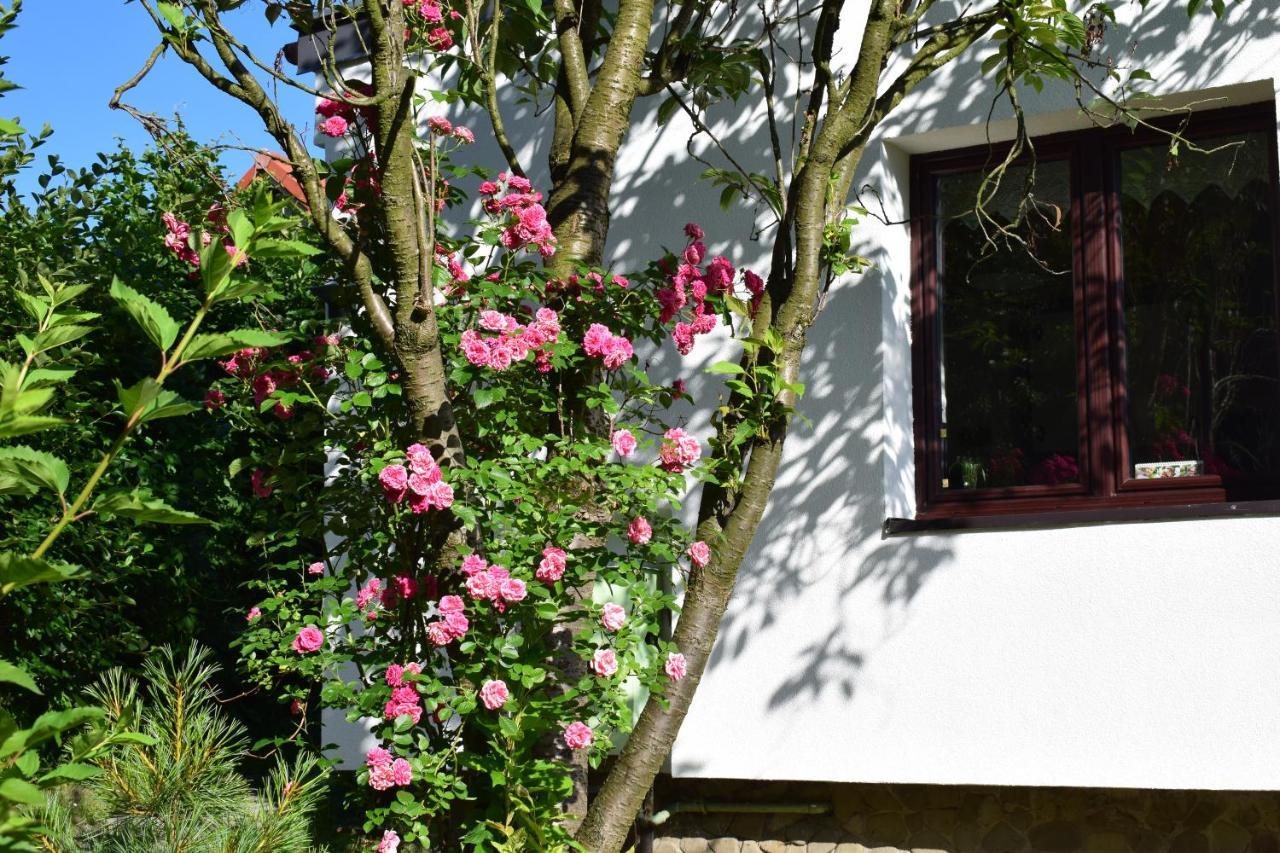 Apartment Otoczak Brenna