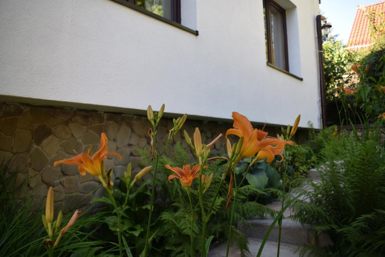 Otoczak Apartment